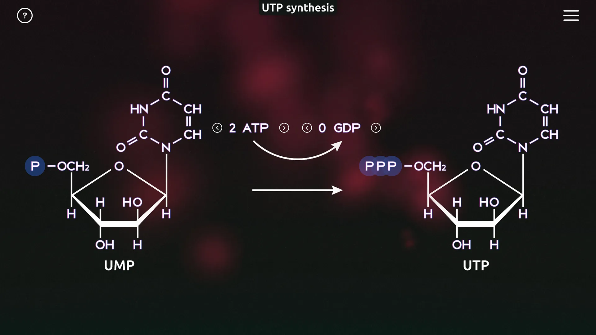 BiochemCity UTP szintézis folyamat képernyő